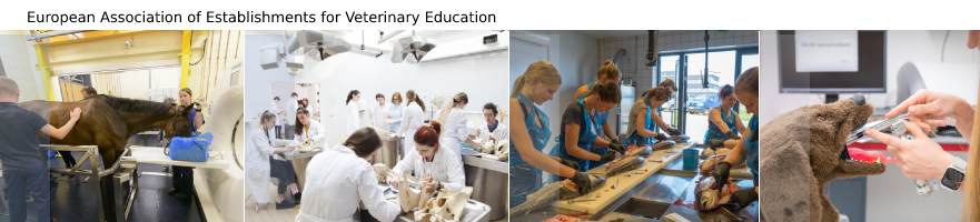 European Assotiation of Establishments for Veterinary Education